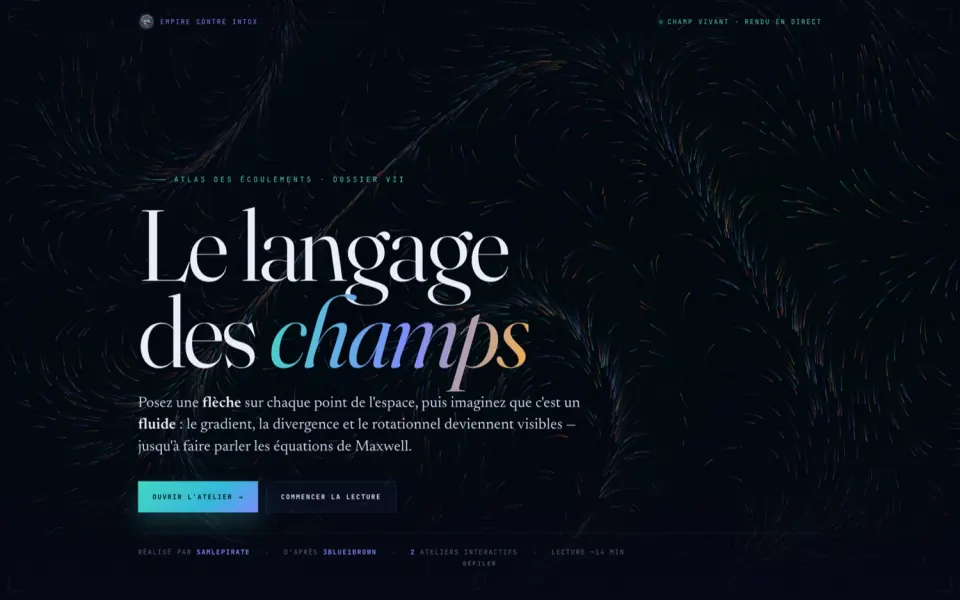 Champ de vecteurs : flèches d'un écoulement, avec sources, puits et tourbillons